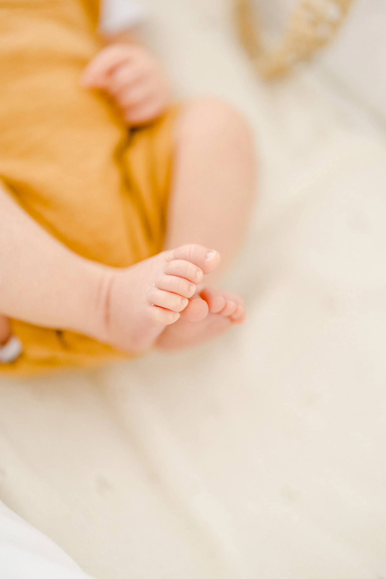 jaune enfant marron gris orange